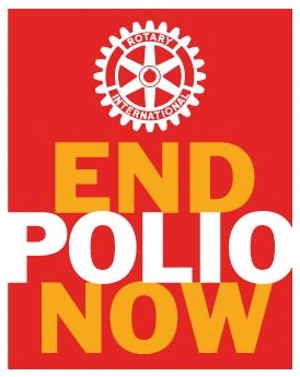 Logo Oficial End Polio Now